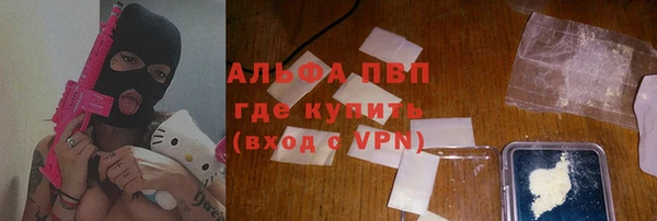 прущие грибы Алексеевка