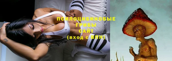 прущие грибы Алексеевка