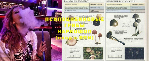 альфа пвп VHQ Алзамай